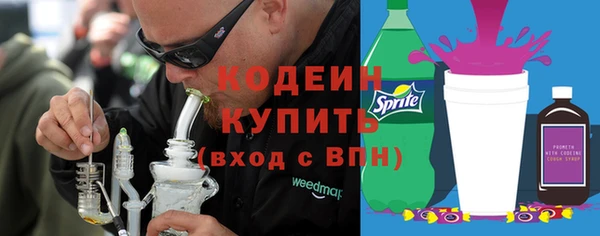 индика Липки