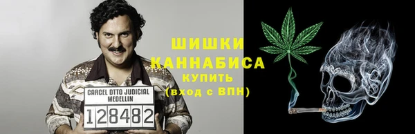 ГАЛЛЮЦИНОГЕННЫЕ ГРИБЫ Лабытнанги