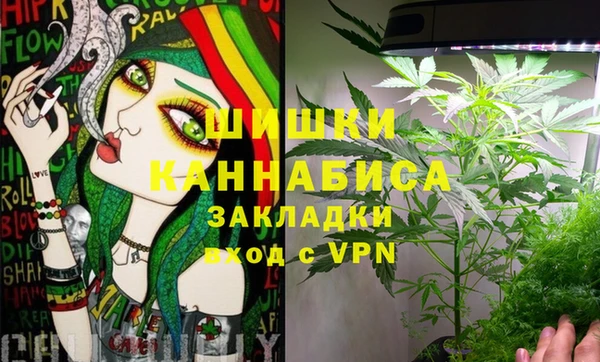ГАЛЛЮЦИНОГЕННЫЕ ГРИБЫ Лабытнанги
