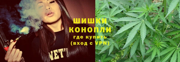 ГАЛЛЮЦИНОГЕННЫЕ ГРИБЫ Лабытнанги