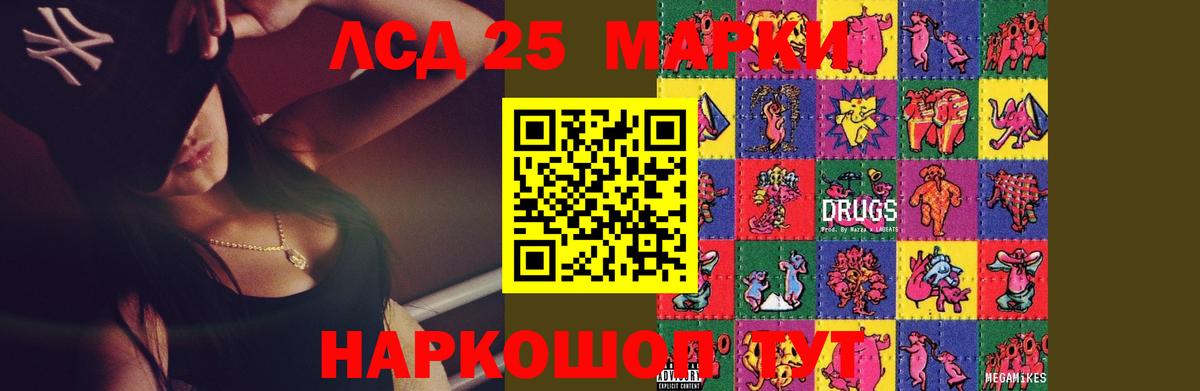 Бердск  ссылка на мегу маркетплейс  Вход с VPN  LSD-25 экстази кислота  ЛСД экстази ecstasy 