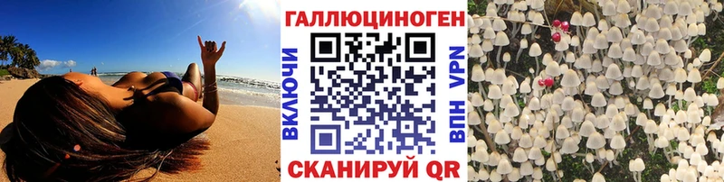 Псилоцибиновые грибы GOLDEN TEACHER  дарнет шоп  Бердск 