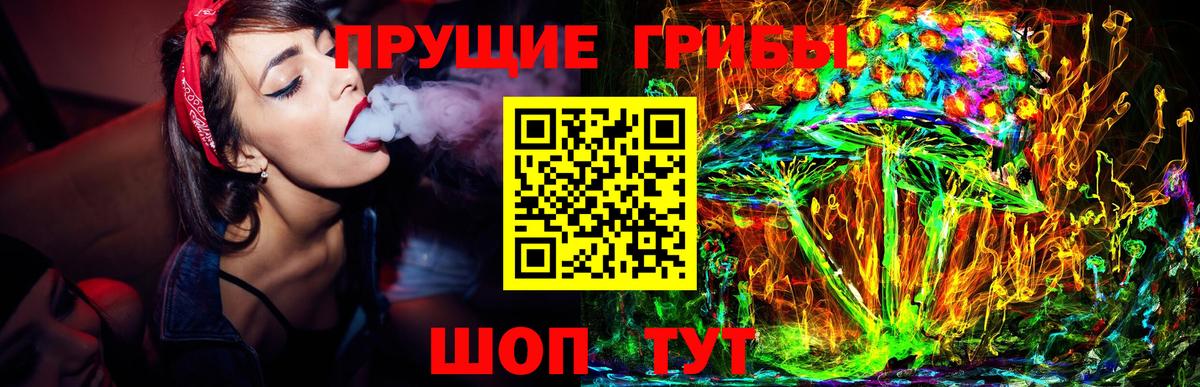 Галлюциногенные грибы прущие грибы Бердск