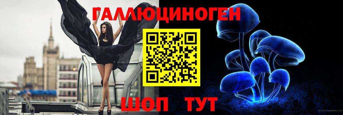 Псилоцибиновые грибы ЛСД  Псилоцибиновые грибы Psilocybe  Бердск  Вход с VPN 