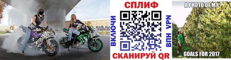 что такое   Бердск  МАРИХУАНА сатива 